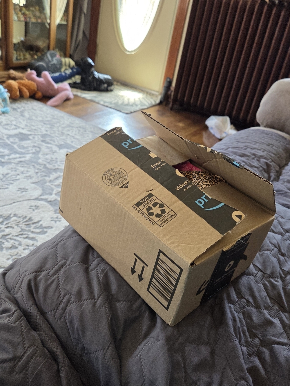 Amazon Prime Shipping Box with Leopard Print Packing